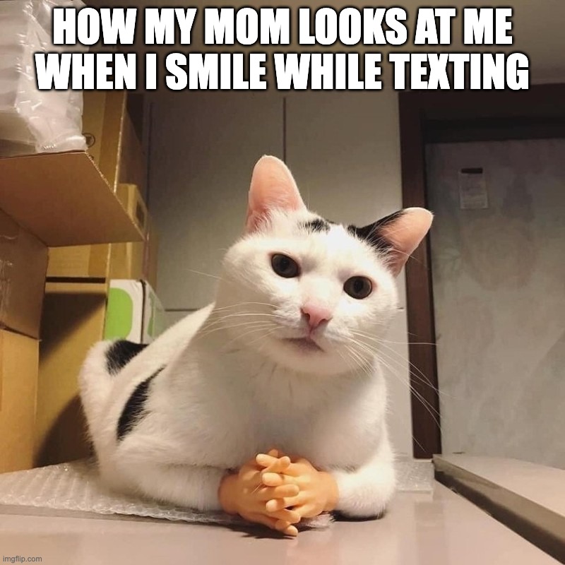 how my mom looks at me when i smile while texting | HOW MY MOM LOOKS AT ME WHEN I SMILE WHILE TEXTING | image tagged in memes | made w/ Imgflip meme maker