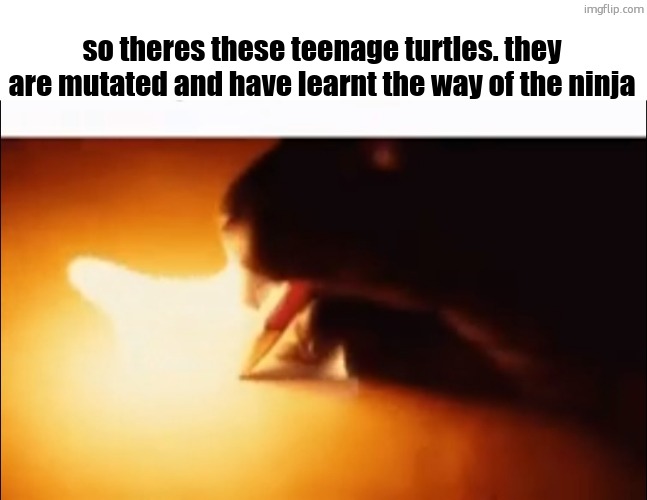 Writing Fire | so theres these teenage turtles. they are mutated and have learnt the way of the ninja | image tagged in writing fire | made w/ Imgflip meme maker