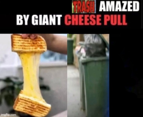 Trash | image tagged in x amazed by giant cheese pull,trash | made w/ Imgflip meme maker