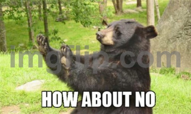How About No Bear Meme | image tagged in memes,how about no bear | made w/ Imgflip meme maker