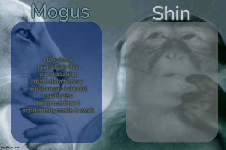 Mogus n Shin | I love how I sent Shin this pic indicating that I didn't know what image I should use for the temp but then I accidentally made it work | image tagged in mogus n shin | made w/ Imgflip meme maker