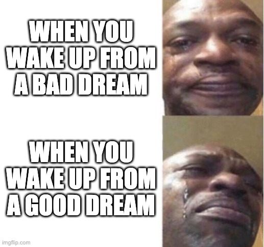 You know once you know | WHEN YOU WAKE UP FROM A BAD DREAM; WHEN YOU WAKE UP FROM A GOOD DREAM | image tagged in black guy crying,dreams,relatable,memes | made w/ Imgflip meme maker