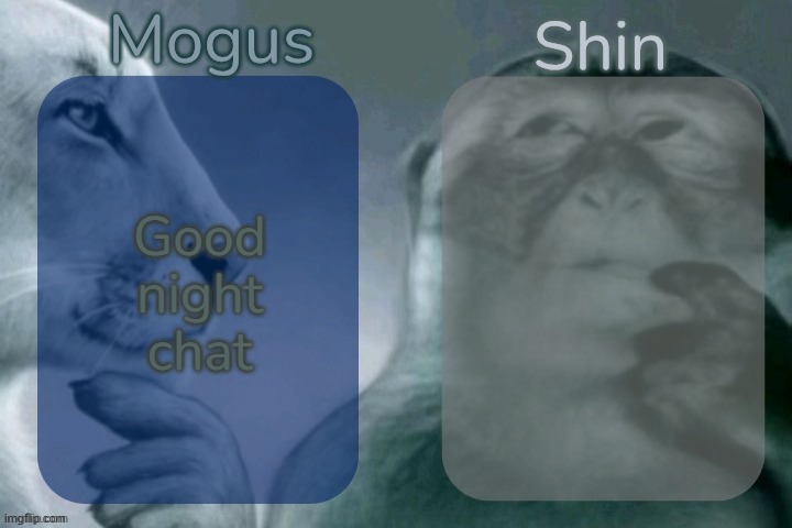 Mogus n Shin | Good night chat | image tagged in mogus n shin | made w/ Imgflip meme maker