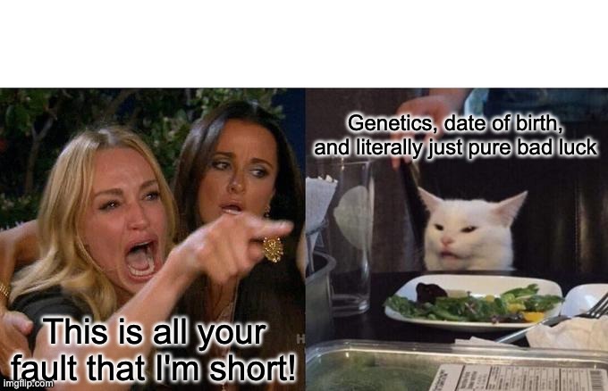 T-T | Genetics, date of birth, and literally just pure bad luck; This is all your fault that I'm short! | image tagged in memes,woman yelling at cat,short,relatable,bad luck | made w/ Imgflip meme maker