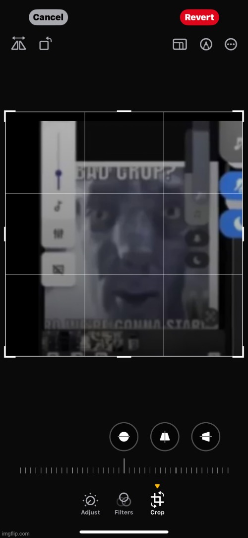 Bad crop | image tagged in bad crop | made w/ Imgflip meme maker