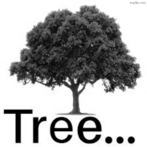 tree... | image tagged in tree | made w/ Imgflip meme maker