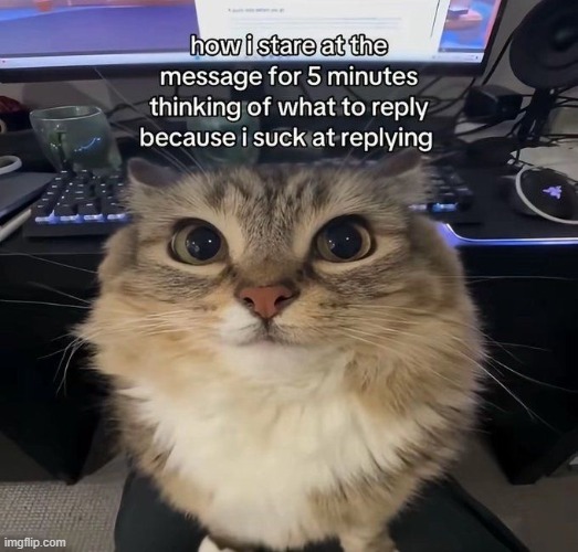 shitpost repost | image tagged in rmk | made w/ Imgflip meme maker