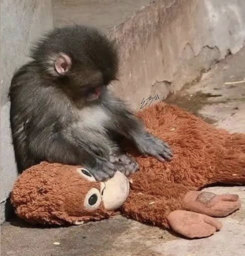 Punch Blank Meme Template