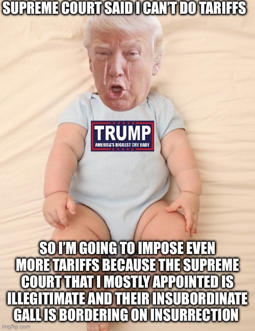 Crying Trump Baby | SUPREME COURT SAID I CAN’T DO TARIFFS; SO I’M GOING TO IMPOSE EVEN MORE TARIFFS BECAUSE THE SUPREME COURT THAT I MOSTLY APPOINTED IS ILLEGITIMATE AND THEIR INSUBORDINATE GALL IS BORDERING ON INSURRECTION | image tagged in crying trump baby | made w/ Imgflip meme maker