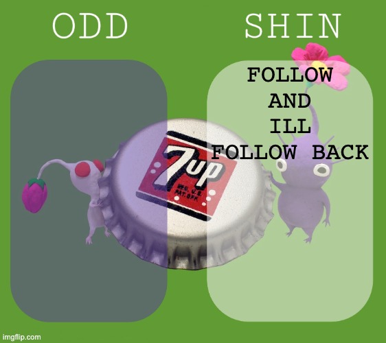 Shin and odd shared announcement template | FOLLOW AND ILL FOLLOW BACK | image tagged in shin and odd shared announcement template | made w/ Imgflip meme maker