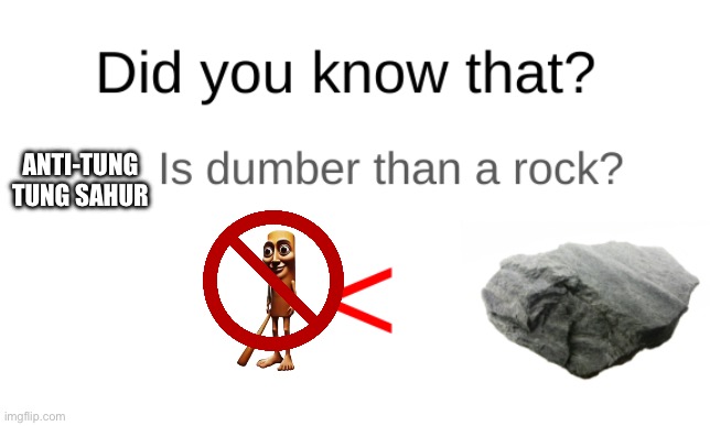 Did you know that (blank) is dumber than a rock? | ANTI-TUNG TUNG SAHUR | image tagged in did you know that blank is dumber than a rock | made w/ Imgflip meme maker