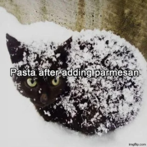 Parmesan | image tagged in pasta,parmesan,cat,repost,reposts,memes | made w/ Imgflip meme maker