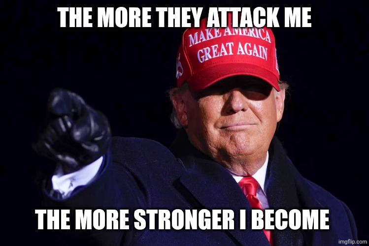 DONALD TRUMP | THE MORE THEY ATTACK ME; THE MORE STRONGER I BECOME | image tagged in donald trump | made w/ Imgflip meme maker