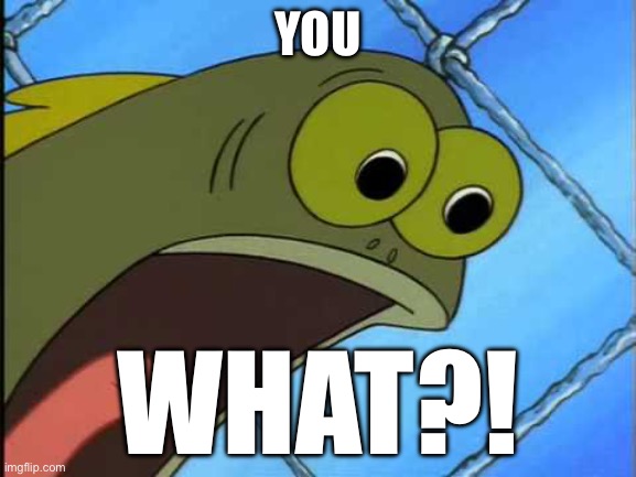 You what?! | YOU WHAT?! | image tagged in you what | made w/ Imgflip meme maker