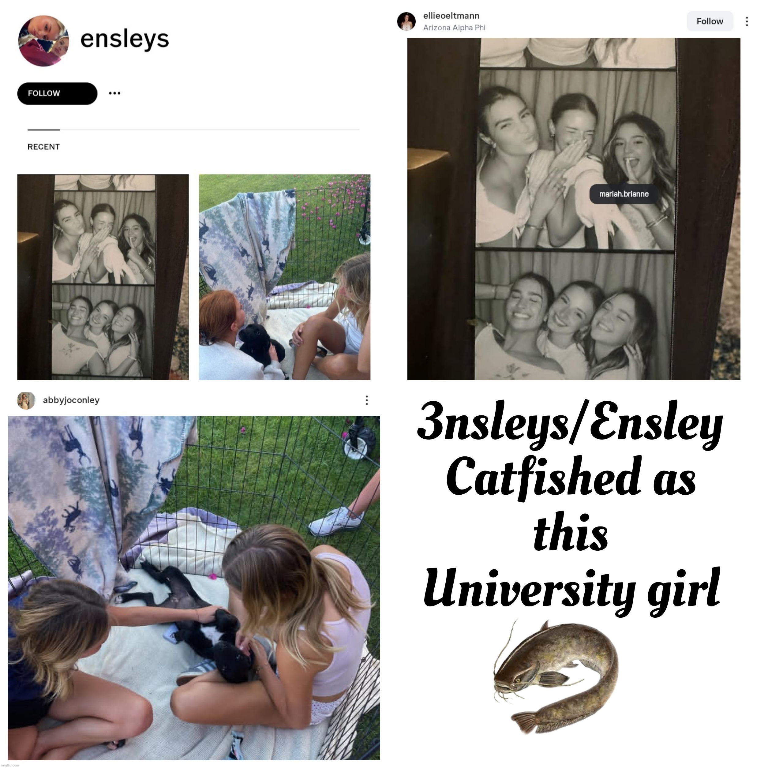 Beware of 3nsley the catfish | image tagged in catfish | made w/ Imgflip meme maker