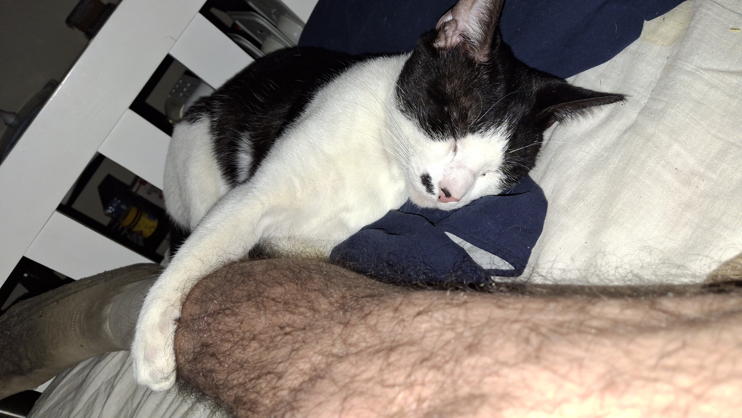 Good Human Blank Meme Template