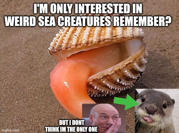 I'M ONLY INTERESTED IN WEIRD SEA CREATURES REMEMBER? BUT I DONT THINK IM THE ONLY ONE | made w/ Imgflip meme maker