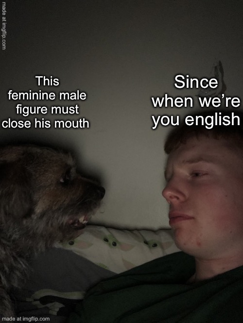 Dog talk but fixed | This feminine male figure must close his mouth Since when we’re you english | image tagged in dog talk but fixed | made w/ Imgflip meme maker