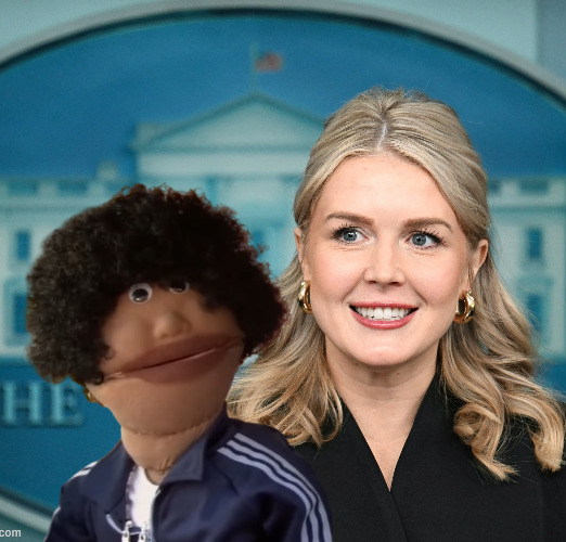 Feanklin Leavitt Blank Meme Template