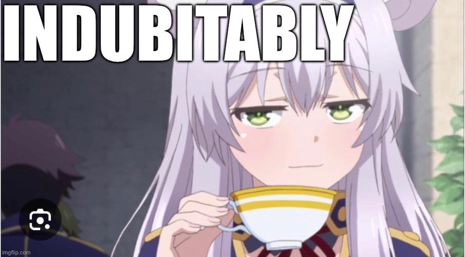 INDUBITABLY | made w/ Imgflip meme maker
