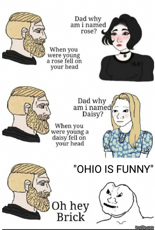 oh hey brick | "OHIO IS FUNNY" | image tagged in oh hey brick | made w/ Imgflip meme maker