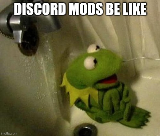 me hoy | DISCORD MODS BE LIKE | image tagged in kermit on shower | made w/ Imgflip meme maker