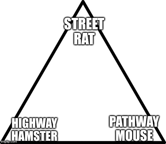 triangle | STREET RAT; HIGHWAY HAMSTER; PATHWAY MOUSE | image tagged in triangle | made w/ Imgflip meme maker