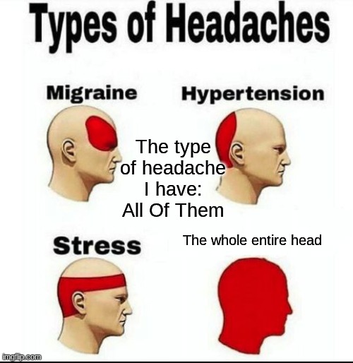 the one i have | The type of headache I have: All Of Them; The whole entire head | image tagged in types of headaches meme | made w/ Imgflip meme maker