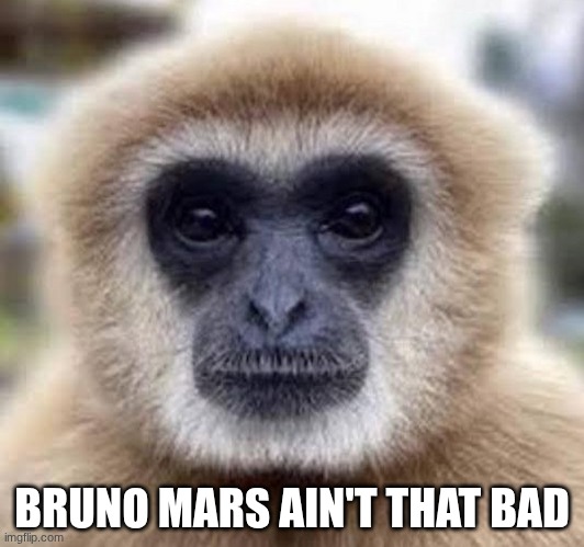 Kill 7 bilion people | BRUNO MARS AIN'T THAT BAD | image tagged in kill 7 bilion people | made w/ Imgflip meme maker