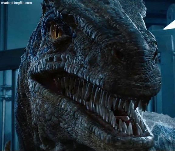 Blue Disapproves | image tagged in blue disapproves | made w/ Imgflip meme maker