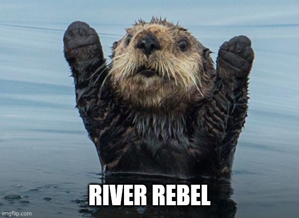 Hands up otter | RIVER REBEL | image tagged in hands up otter | made w/ Imgflip meme maker