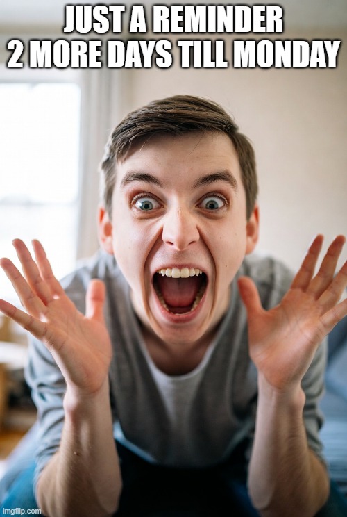 Exited for Monday | JUST A REMINDER 2 MORE DAYS TILL MONDAY | image tagged in excited | made w/ Imgflip meme maker