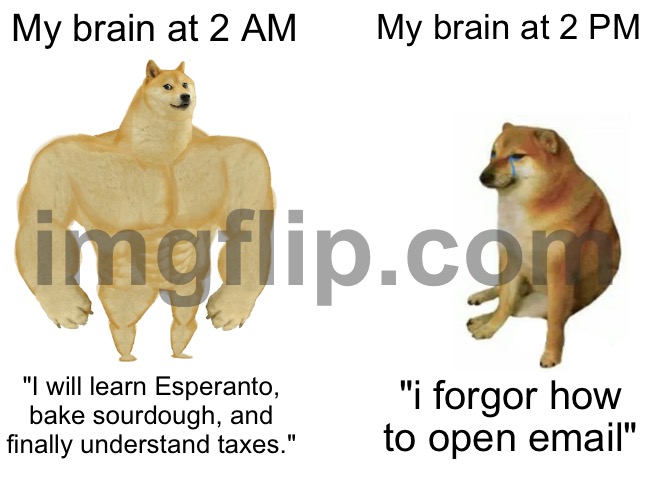 My brain at 2 PM; "i forgor how to open email" | My brain at 2 AM; My brain at 2 PM; "I will learn Esperanto, bake sourdough, and finally understand taxes."; "i forgor how to open email" | image tagged in memes,buff doge vs cheems,brain,3am,email,scumbag brain | made w/ Imgflip meme maker