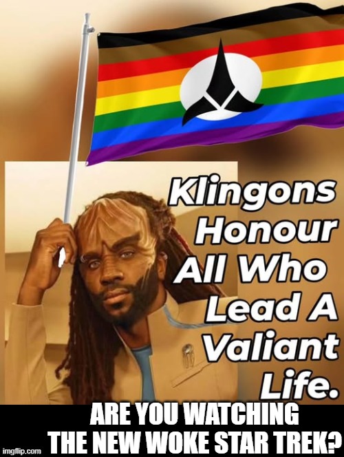 Are you watching the new woke Star Trek? | ARE YOU WATCHING THE NEW WOKE STAR TREK? | image tagged in woke | made w/ Imgflip meme maker