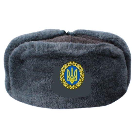 Ukrainian Ushanka Blank Meme Template