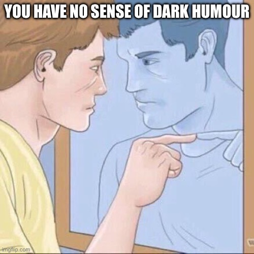 Dark Humour | YOU HAVE NO SENSE OF DARK HUMOUR | image tagged in pointing mirror guy | made w/ Imgflip meme maker