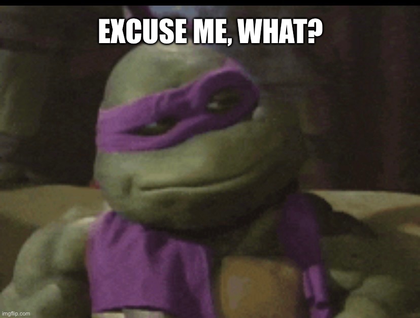 Excuse me, What? | EXCUSE ME, WHAT? | image tagged in tmnt,funny memes | made w/ Imgflip meme maker
