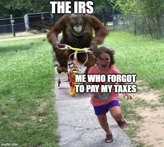 Better pay your taxes | THE IRS; ME WHO FORGOT TO PAY MY TAXES | image tagged in orangutan chasing kid on tricycle | made w/ Imgflip meme maker