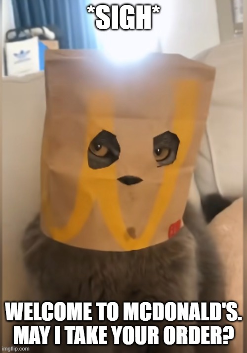 If looks could kill... | *SIGH*; WELCOME TO MCDONALD'S. MAY I TAKE YOUR ORDER? | image tagged in memes,funny,cats,mcdonalds | made w/ Imgflip meme maker