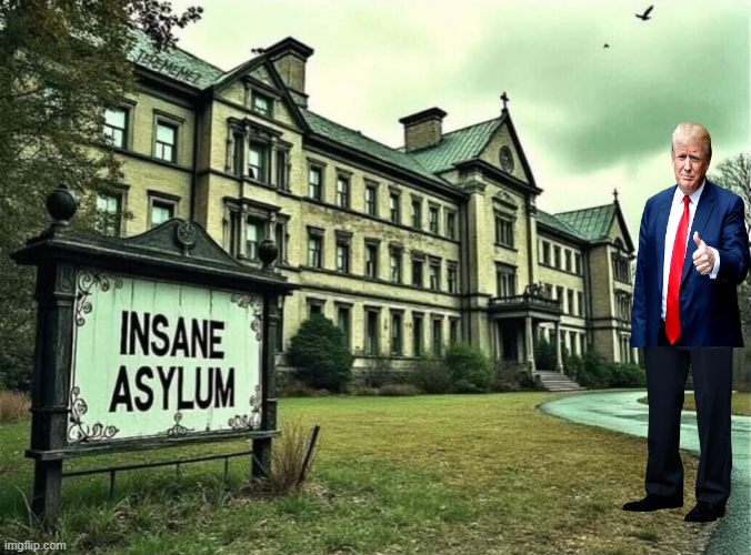 Let's bring back insane asylums Blank Meme Template