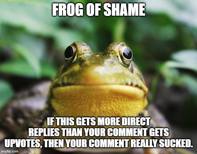 Frog of Shame without Upvote Begging | FROG OF SHAME; IF THIS GETS MORE DIRECT REPLIES THAN YOUR COMMENT GETS UPVOTES, THEN YOUR COMMENT REALLY SUCKED. | image tagged in frog of shame | made w/ Imgflip meme maker