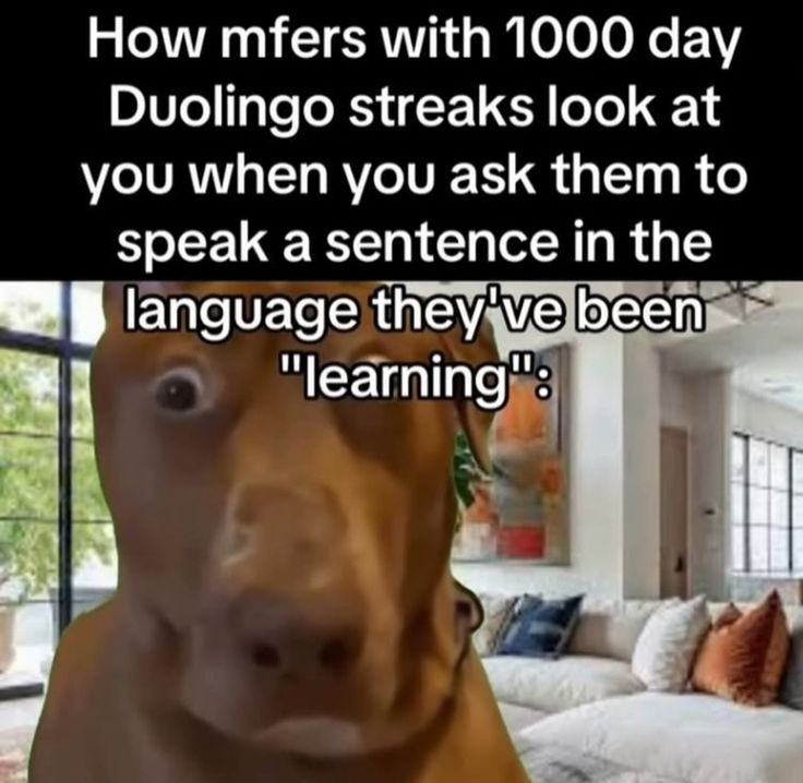 we will now return to posting memes that are actually humorous | made w/ Imgflip meme maker