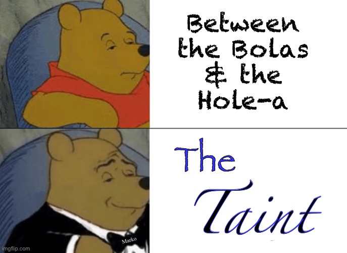 Tuxedo Winnie The Pooh Meme | Between
the Bolas
& the
Hole-a; The; Taint; Marko | image tagged in memes,tuxedo winnie the pooh | made w/ Imgflip meme maker