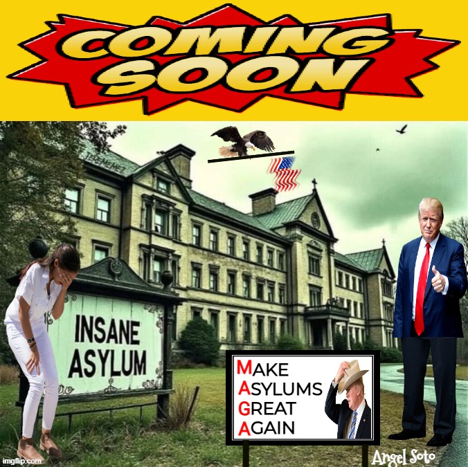 Make Asylums Great Again | AKE   
    SYLUMS
REAT  
GAIN; M
A
G
A; Angel Soto | image tagged in let's bring back insane asylums,president trump,aoc,mental illness,tds,maga | made w/ Imgflip meme maker