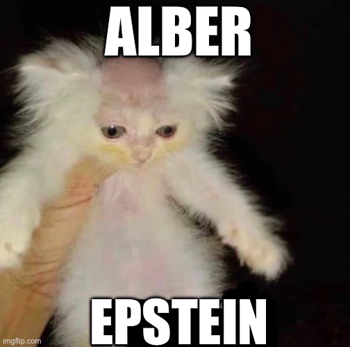ALBER; EPSTEIN | image tagged in g | made w/ Imgflip meme maker
