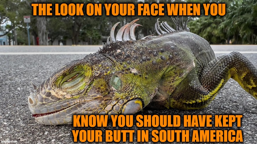 U Got the look | THE LOOK ON YOUR FACE WHEN YOU; KNOW YOU SHOULD HAVE KEPT YOUR BUTT IN SOUTH AMERICA | image tagged in u got the look | made w/ Imgflip meme maker