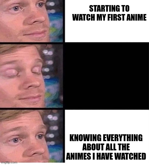 blinking guy vertical blank | STARTING TO WATCH MY FIRST ANIME; KNOWING EVERYTHING ABOUT ALL THE ANIMES I HAVE WATCHED | image tagged in blinking guy vertical blank | made w/ Imgflip meme maker