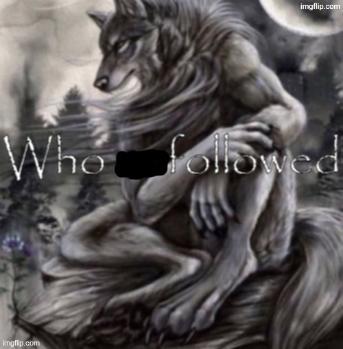 who followed | image tagged in who followed | made w/ Imgflip meme maker