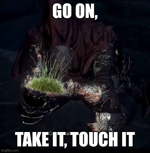 Touch Grass Gael | GO ON, TAKE IT, TOUCH IT | image tagged in touch grass,dark souls | made w/ Imgflip meme maker