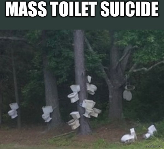 Toilet Suicide | MASS TOILET SUICIDE | image tagged in cursed images,toilets,suicide,what in the hot crispy kentucky fried frick,excuse me wtf | made w/ Imgflip meme maker